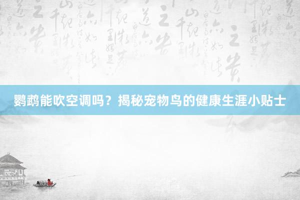 鹦鹉能吹空调吗？揭秘宠物鸟的健康生涯小贴士